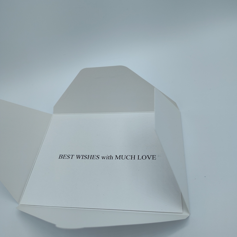 DIOR Luxury Gift Card & Envelope  Boutique Presentation Authentic Packaging Gift